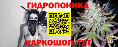 стафф Новозыбков